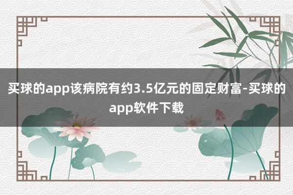 买球的app该病院有约3.5亿元的固定财富-买球的app软件下载