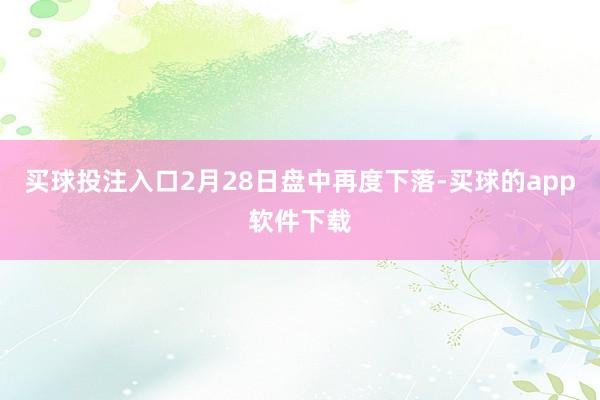 买球投注入口2月28日盘中再度下落-买球的app软件下载
