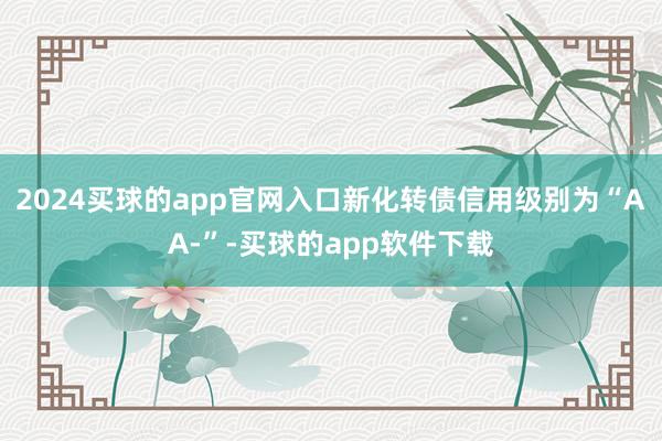 2024买球的app官网入口新化转债信用级别为“AA-”-买球的app软件下载