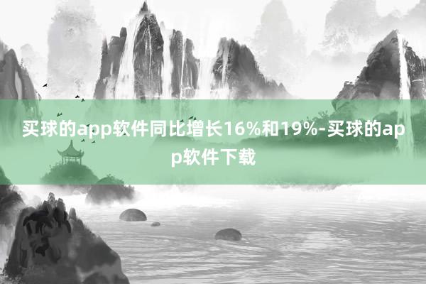 买球的app软件同比增长16%和19%-买球的app软件下载