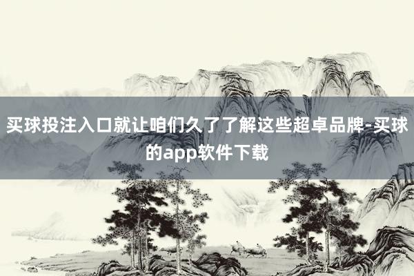 买球投注入口就让咱们久了了解这些超卓品牌-买球的app软件下载