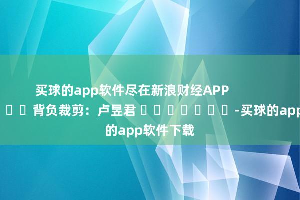 买球的app软件尽在新浪财经APP            						背负裁剪：卢昱君 							-买球的app软件下载