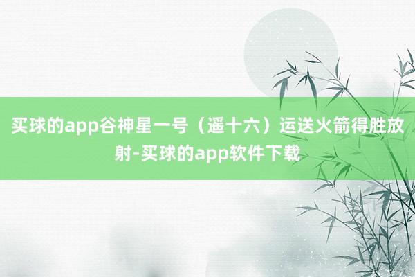 买球的app谷神星一号（遥十六）运送火箭得胜放射-买球的app软件下载