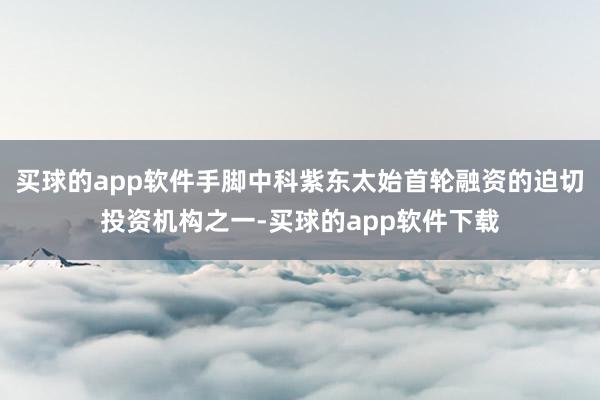 买球的app软件手脚中科紫东太始首轮融资的迫切投资机构之一-买球的app软件下载
