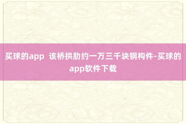 买球的app  该桥拱肋约一万三千块钢构件-买球的app软件下载