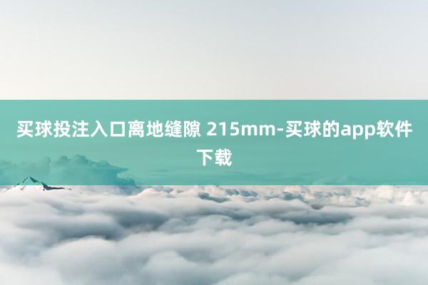 买球投注入口离地缝隙 215mm-买球的app软件下载