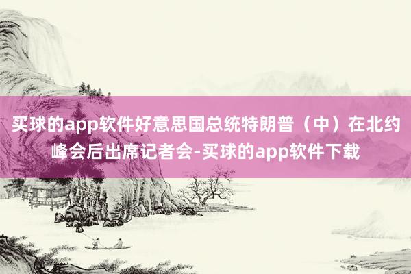 买球的app软件好意思国总统特朗普（中）在北约峰会后出席记者会-买球的app软件下载