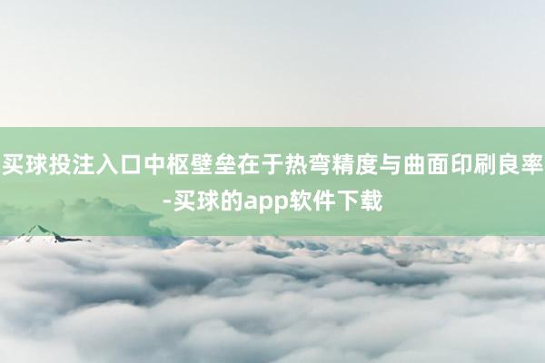 买球投注入口中枢壁垒在于热弯精度与曲面印刷良率-买球的app软件下载