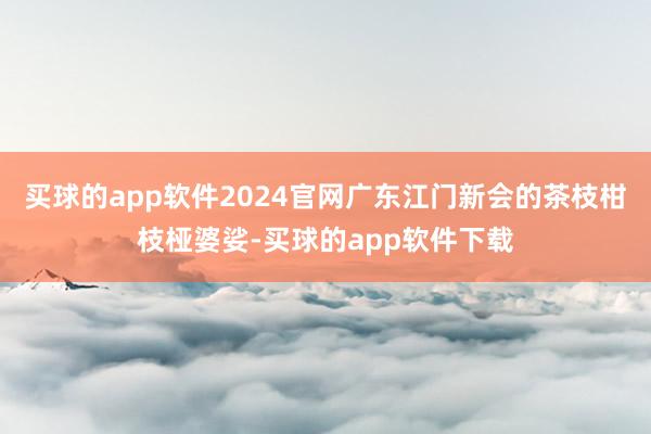 买球的app软件2024官网广东江门新会的茶枝柑枝桠婆娑-买球的app软件下载